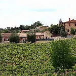 Amina, Winery & Hiking